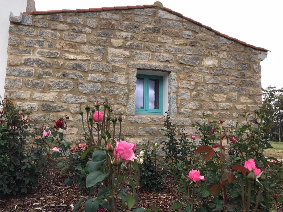 B&B Li Tauli Arzachena Buitenkant foto