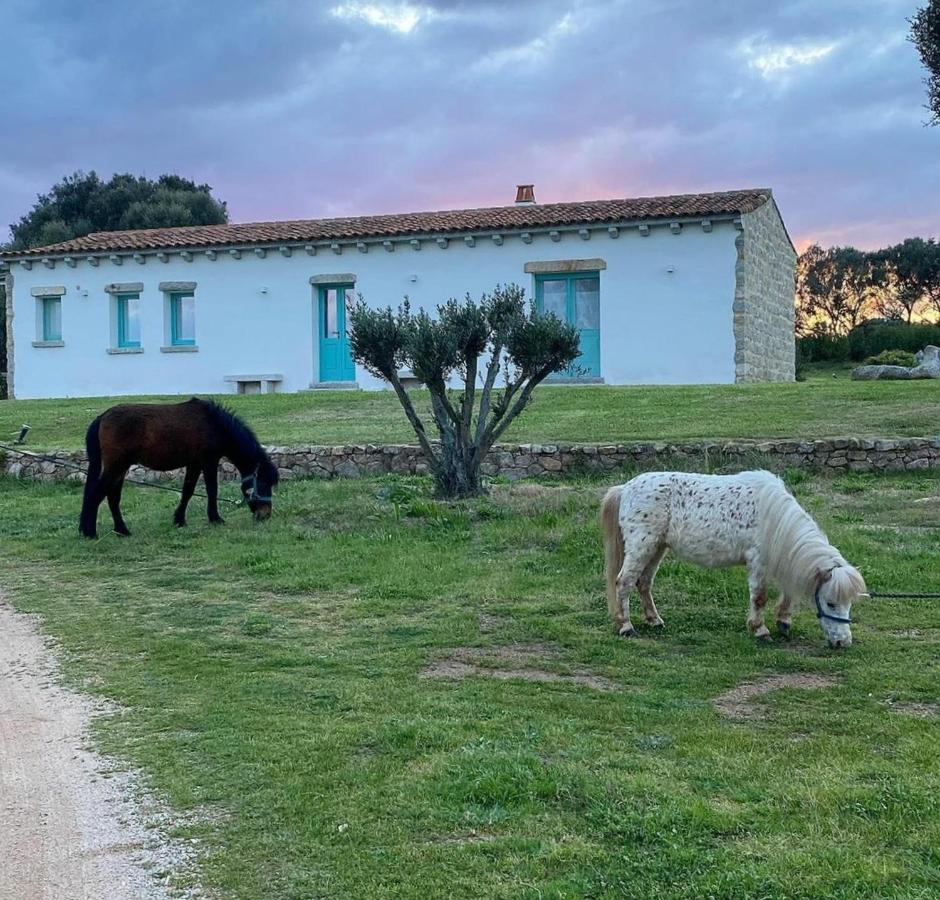 B&B Li Tauli Arzachena Buitenkant foto