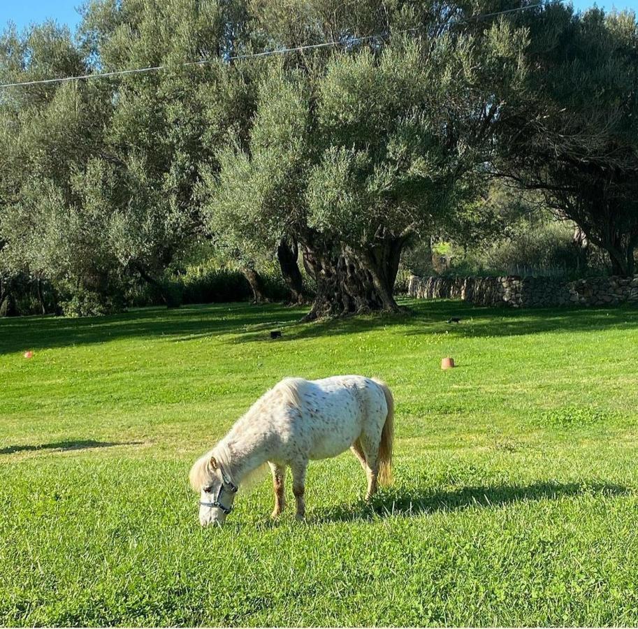 B&B Li Tauli Arzachena Buitenkant foto